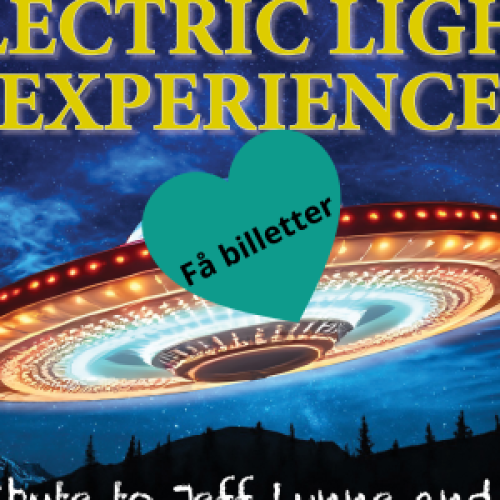 Electric Light Experience på Realen